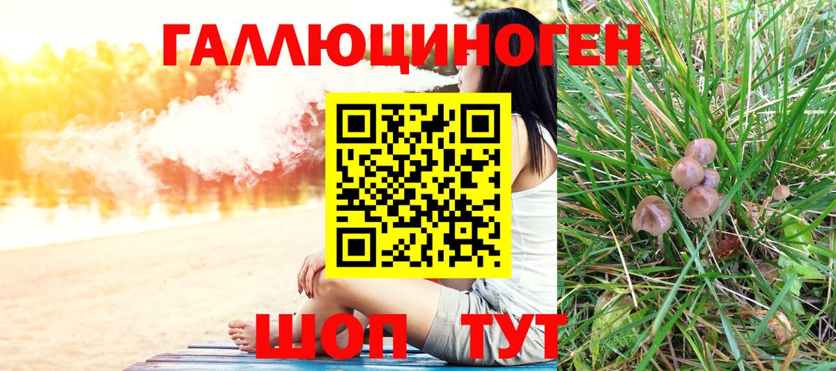 Лыткарино  Псилоцибиновые грибы Magic Shrooms  Вход с VPN 